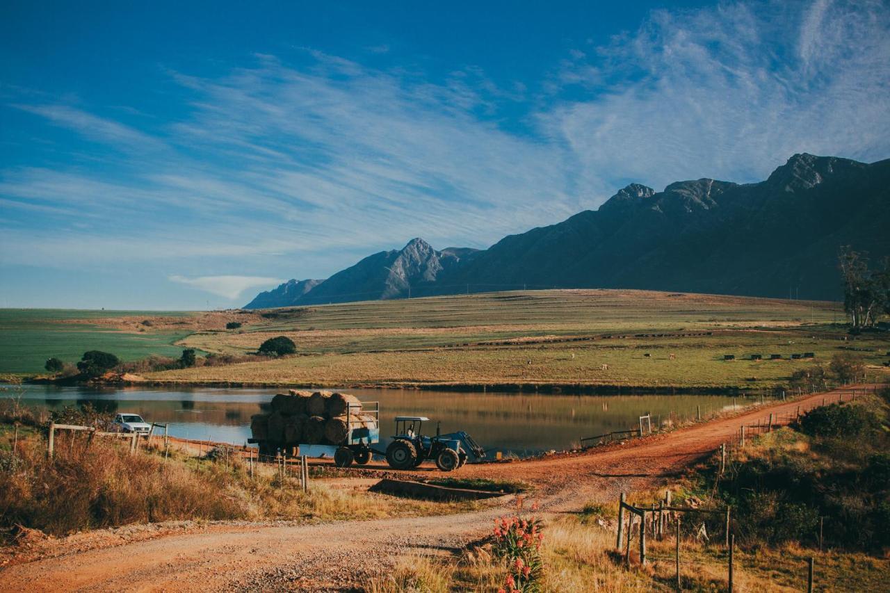 Villa Appelsbosch Guest Farm Swellendam Exterior foto